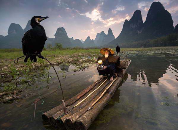 cormorant fishing li river Yangshuo Village Inn